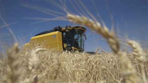D­ü­n­y­a­d­a­ ­b­u­ğ­d­a­y­ ­f­i­y­a­t­l­a­r­ı­ ­y­ü­k­s­e­l­i­y­o­r­